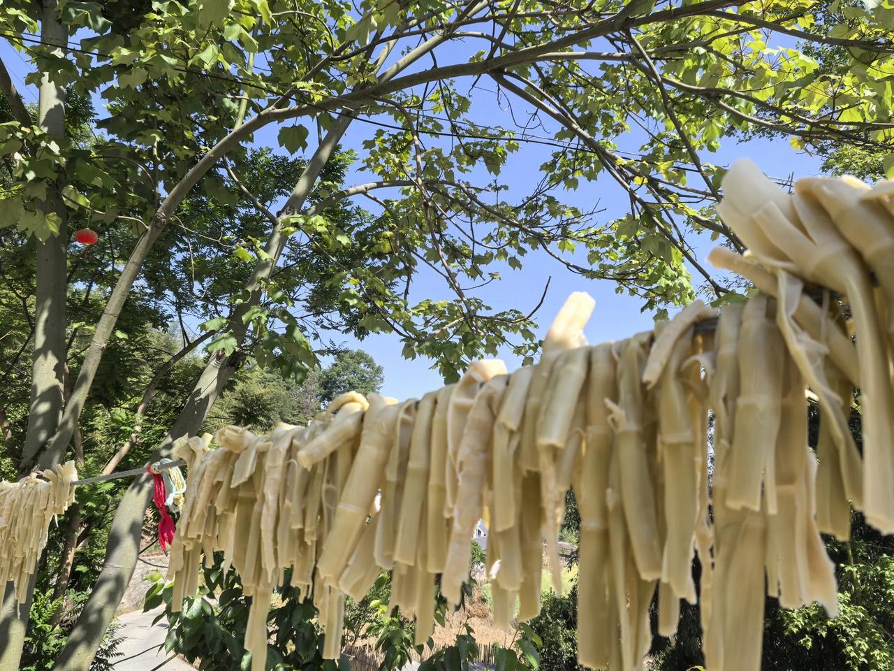 近期，持续干旱的情况让大家对天气格外关注，可天气预报多次预报的小雨、中雨却一次次