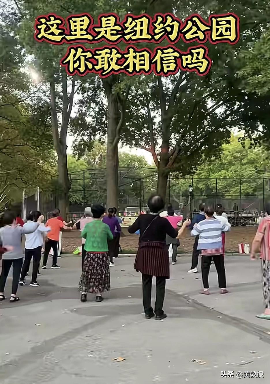 纽约的公园