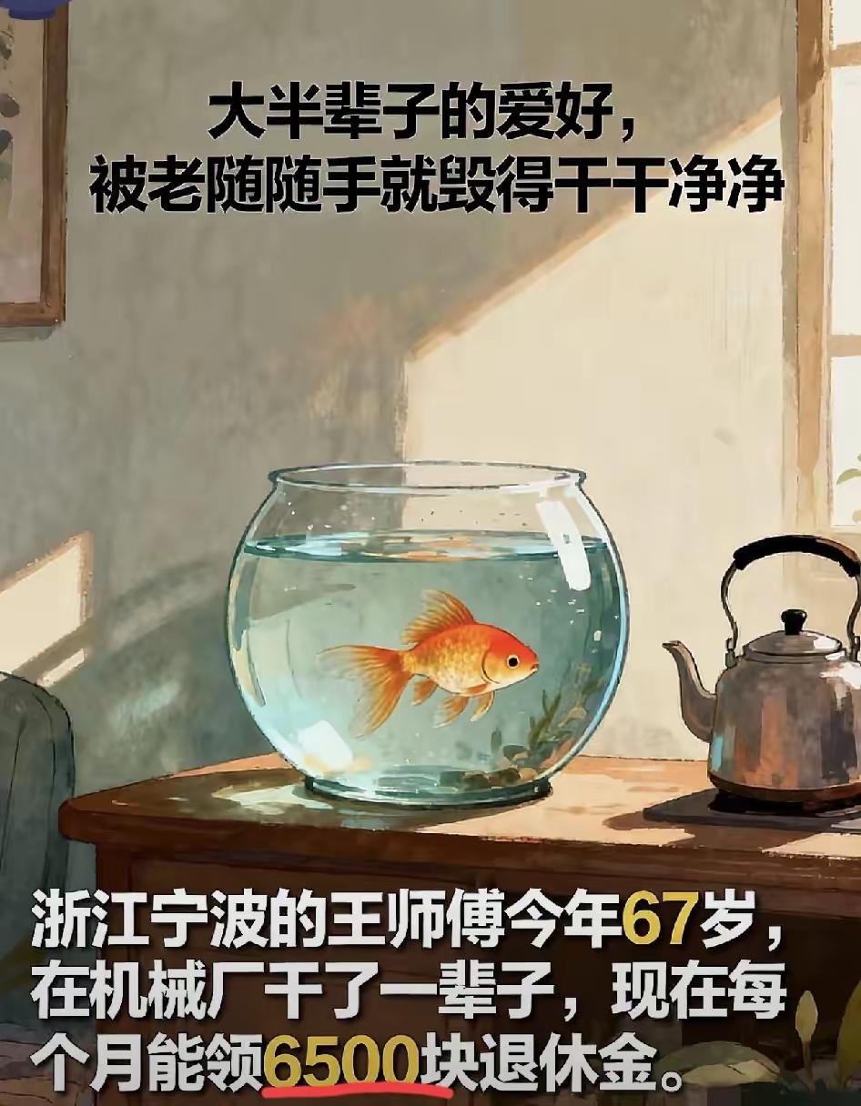 浙江宁波一位拿着6500退休金的大爷

，因为老伴用开水烫死他心爱的金鱼，直接离