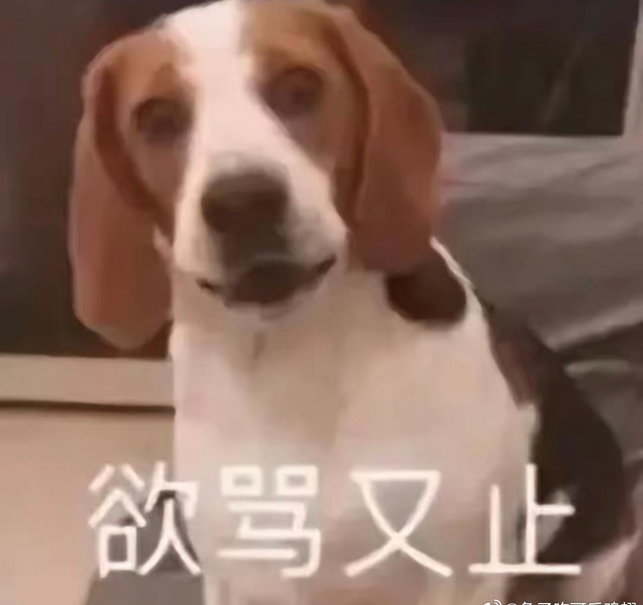 敢不敢爆名字！
敢不敢！
敢不敢！
一点都猜不到……