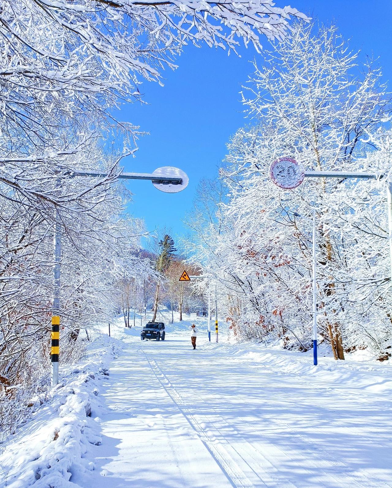零下10℃裸奔逃亡！
吉林嫌犯躲草垛3天饿到麻木，最终栽在这招！
 
家人们谁懂