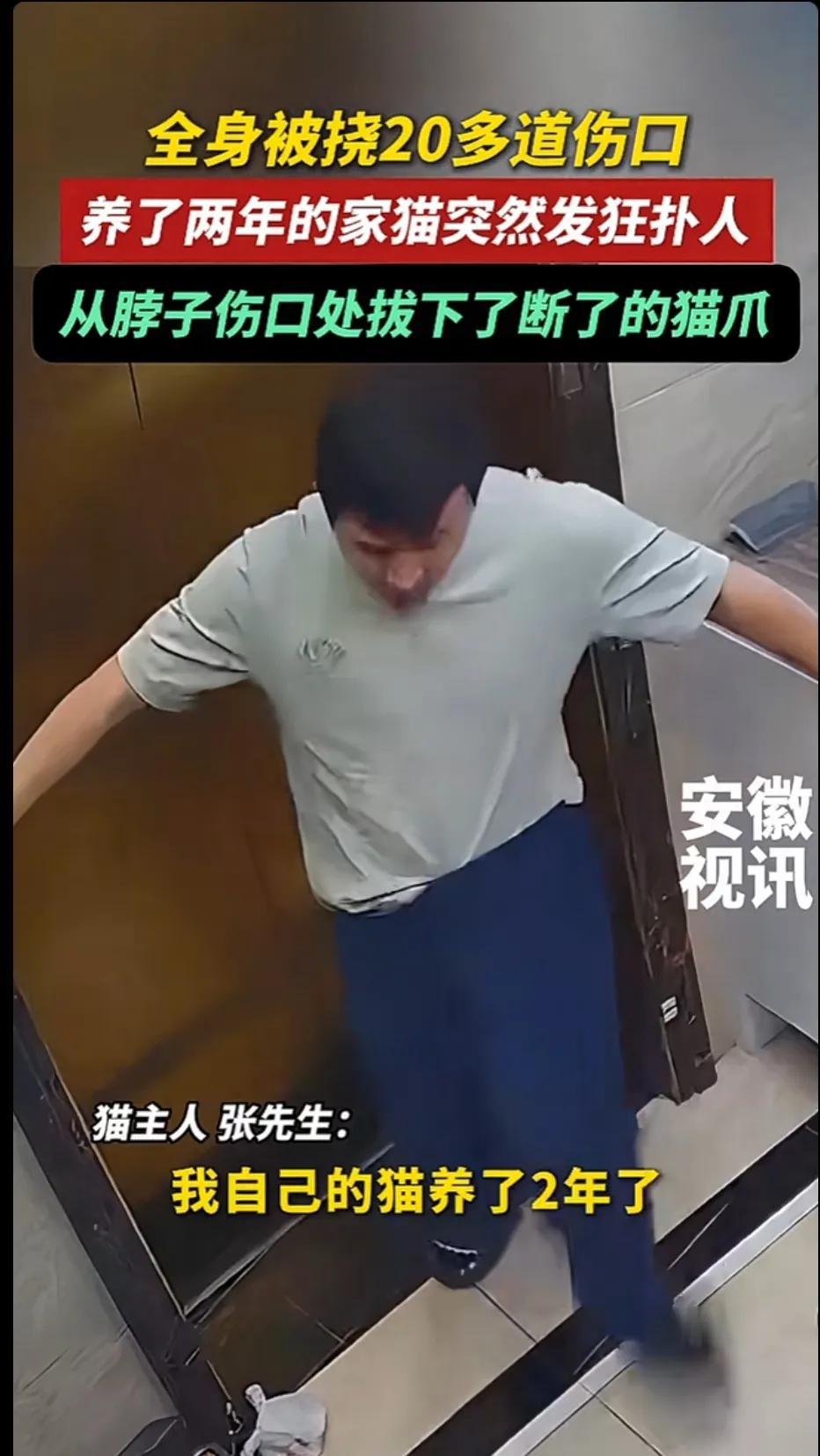 养了2年的家猫
突然发狂仆人。

一男子养了2年的猫，蹲着跟它玩的时候，不知道什