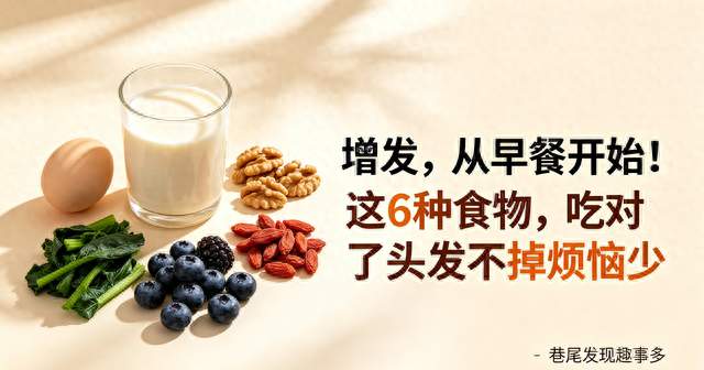 增发，从早餐开始！这6种食物，吃对了头发不掉烦恼少