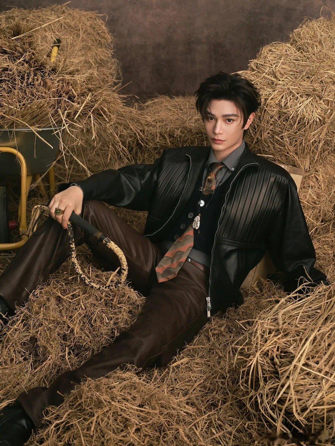 微博之夜出图这个丁禹兮出图永远不会让人失望啊风格大胆又有新意很契合马年主题！有几