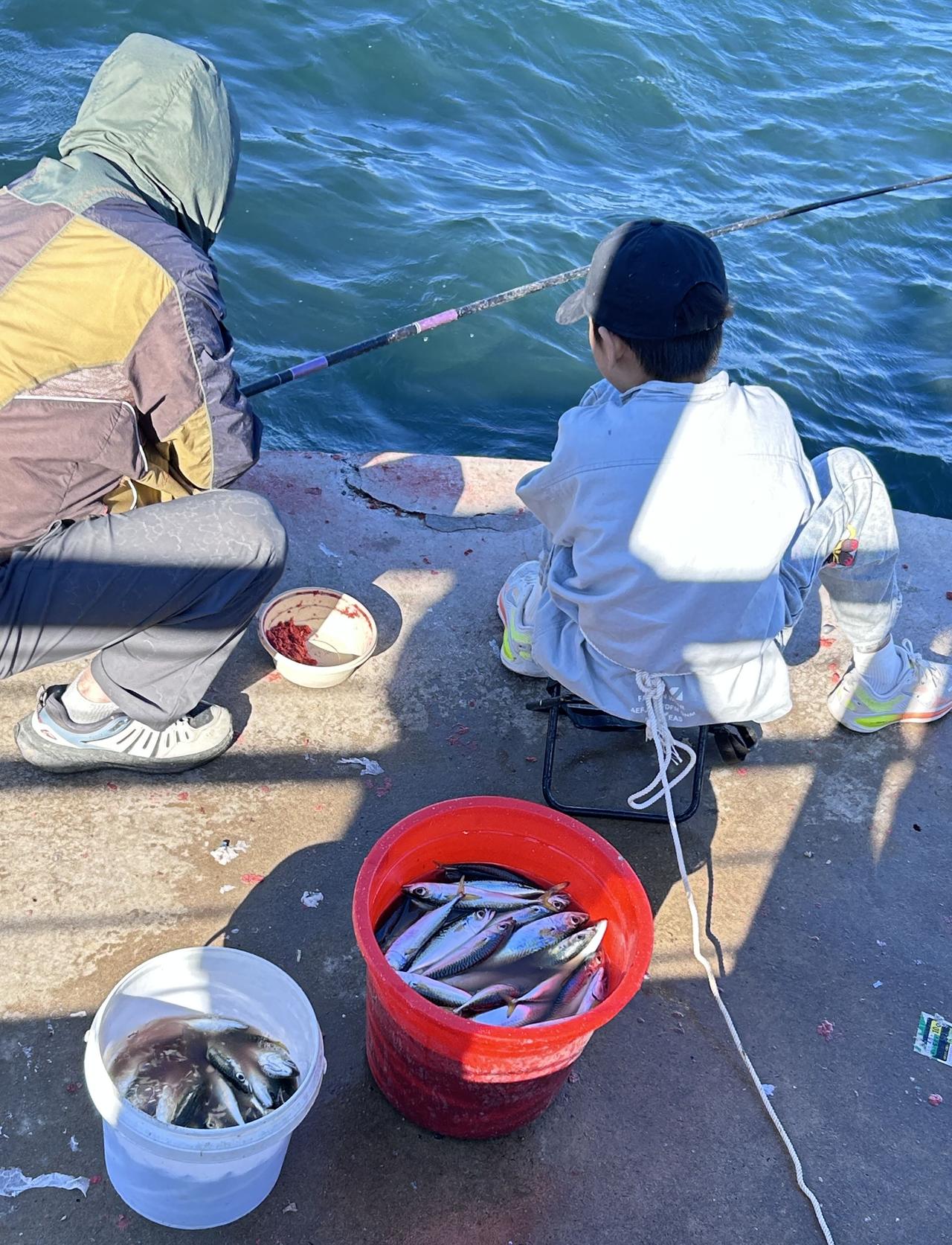 文/俊霖
假日来到海边，堤坝上偶遇一对父子。孩子约莫十一二岁，正跟着父亲学着钓鱼