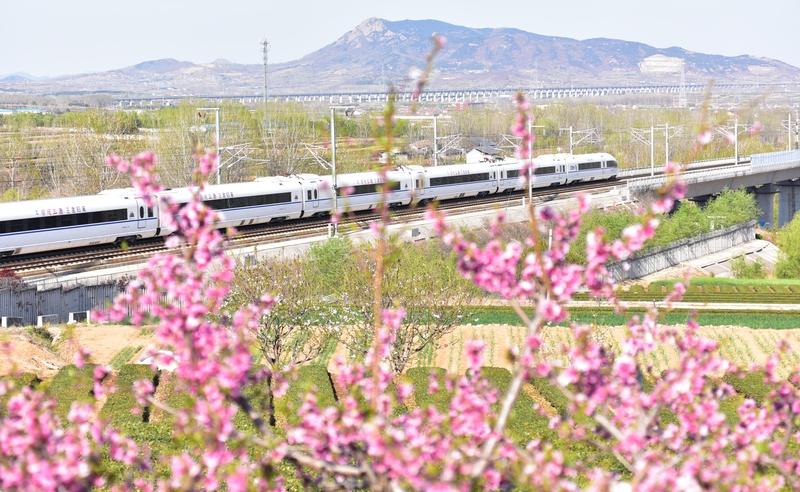 AI妙生图寻春天里的美。