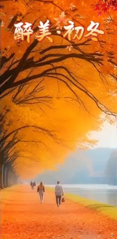 醉美初冬，11月你好。
初冬你好，初冬你好。