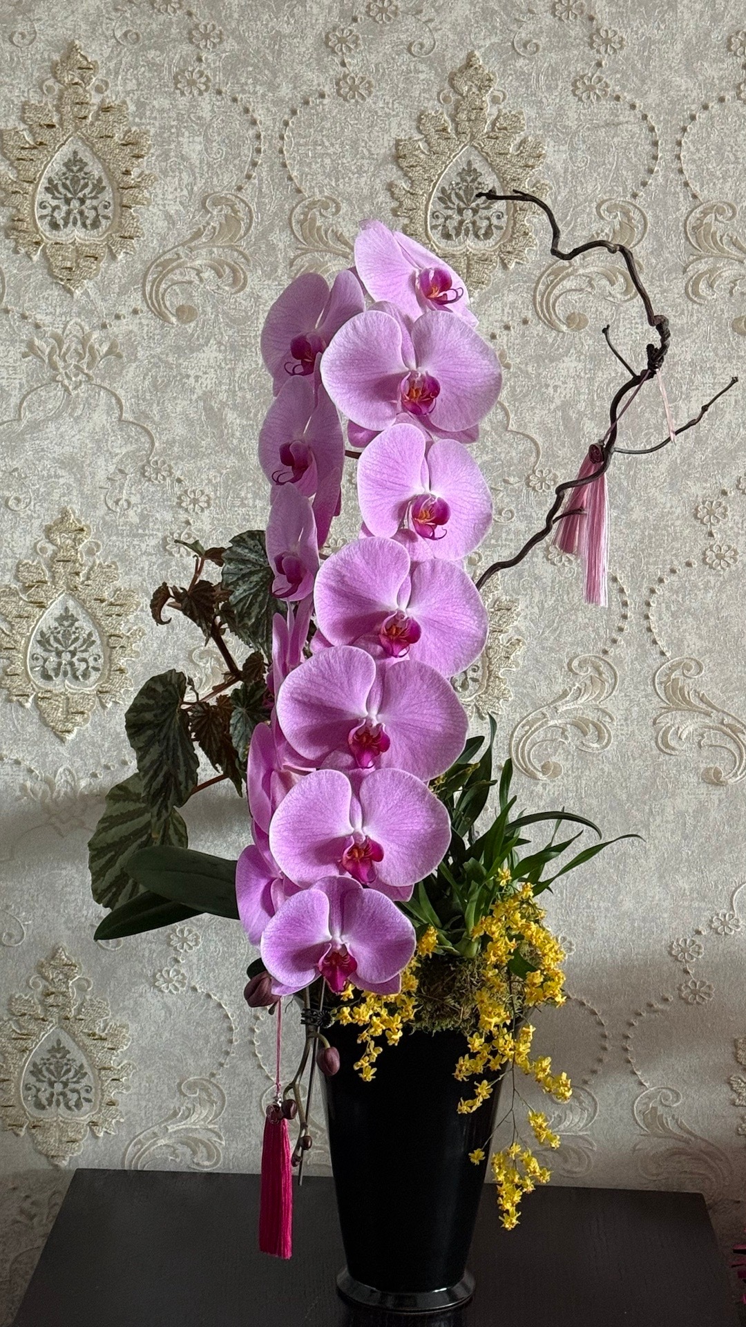 超漂亮花店的fafa给aeon的也超级漂亮爱到了 都爱到叻 