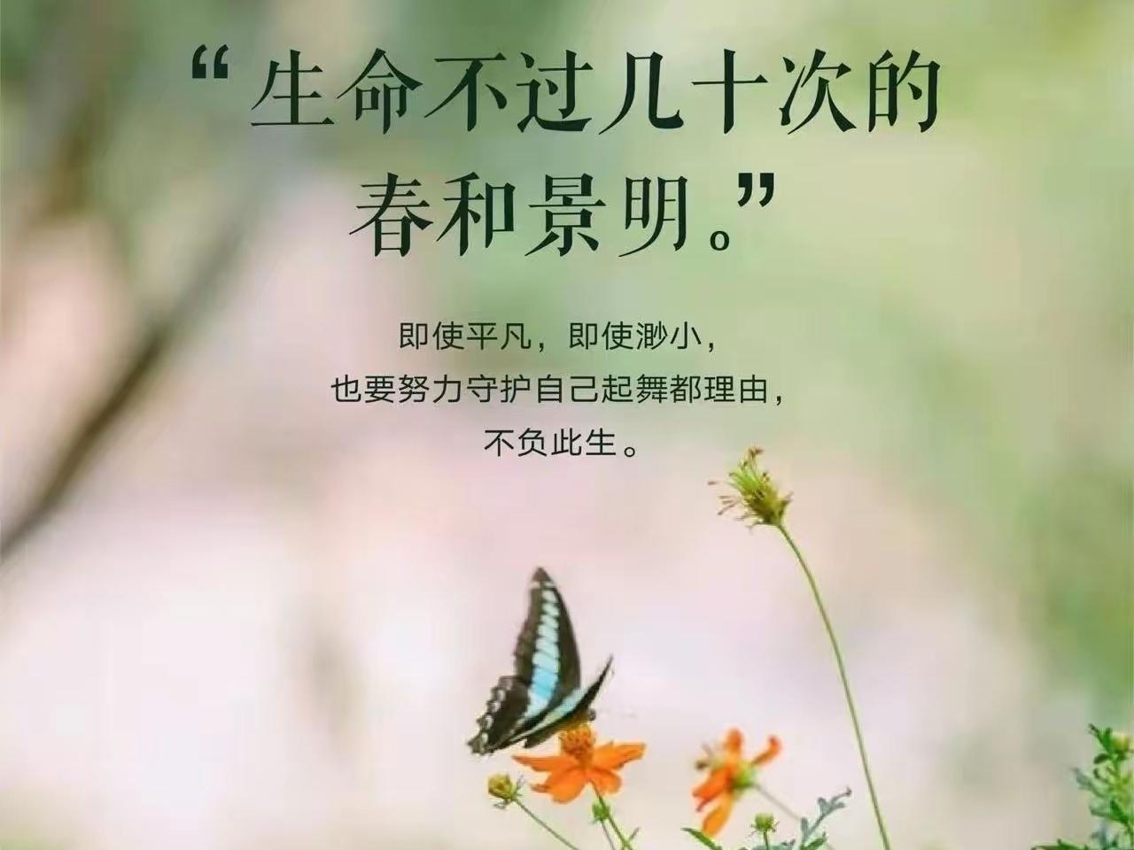 父母在时: 清明节于我们而言是假日休息，是踏青游春，是懒懒散散的给祖辈扫墓。
