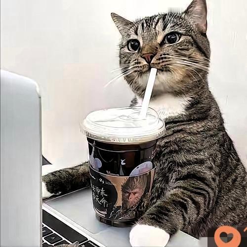 我朋友这波操作，简直把“高智商解决问题”玩明白了！住在三楼的他，被四楼邻居泼脏水