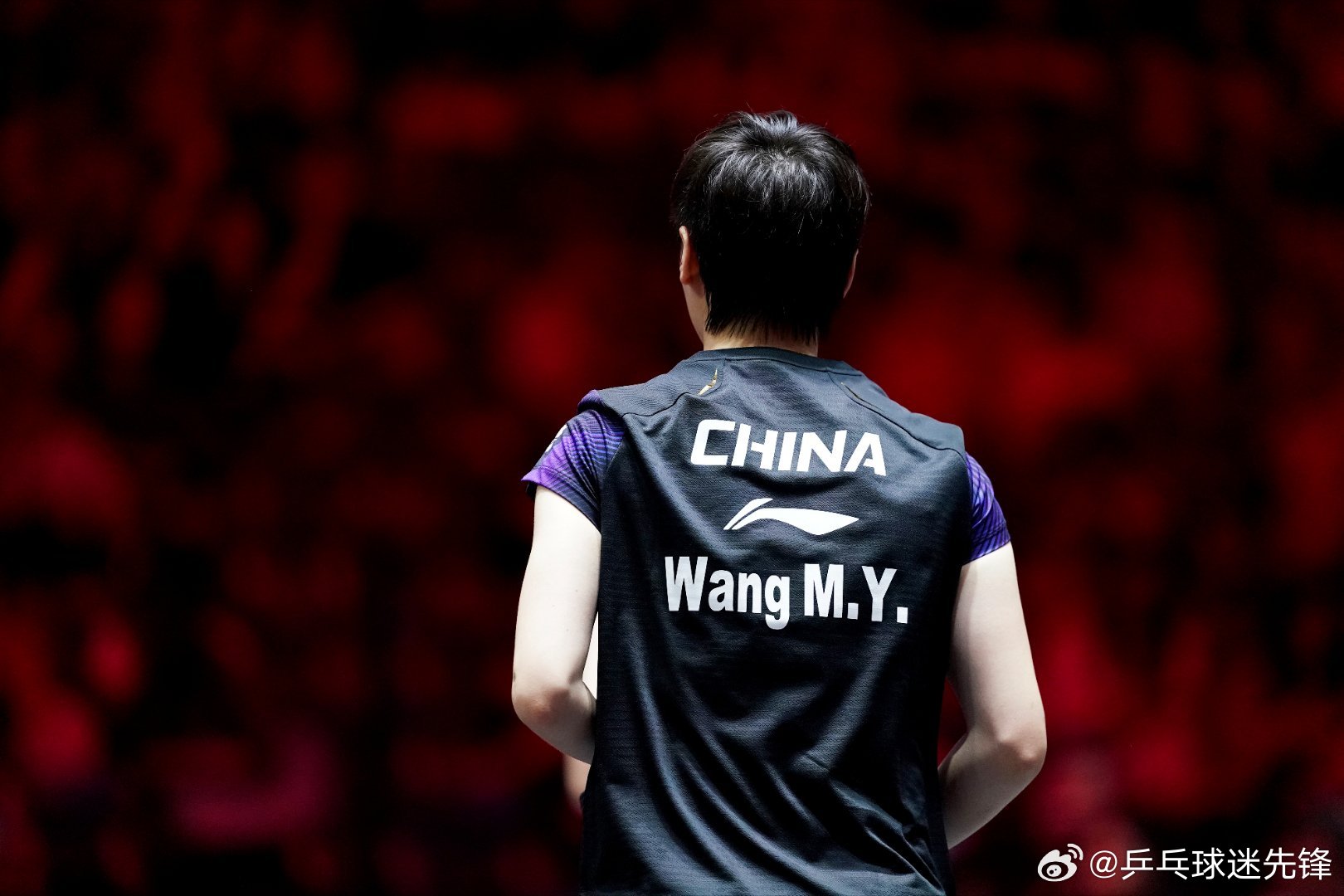 拾照片|Quarterfinal~ 