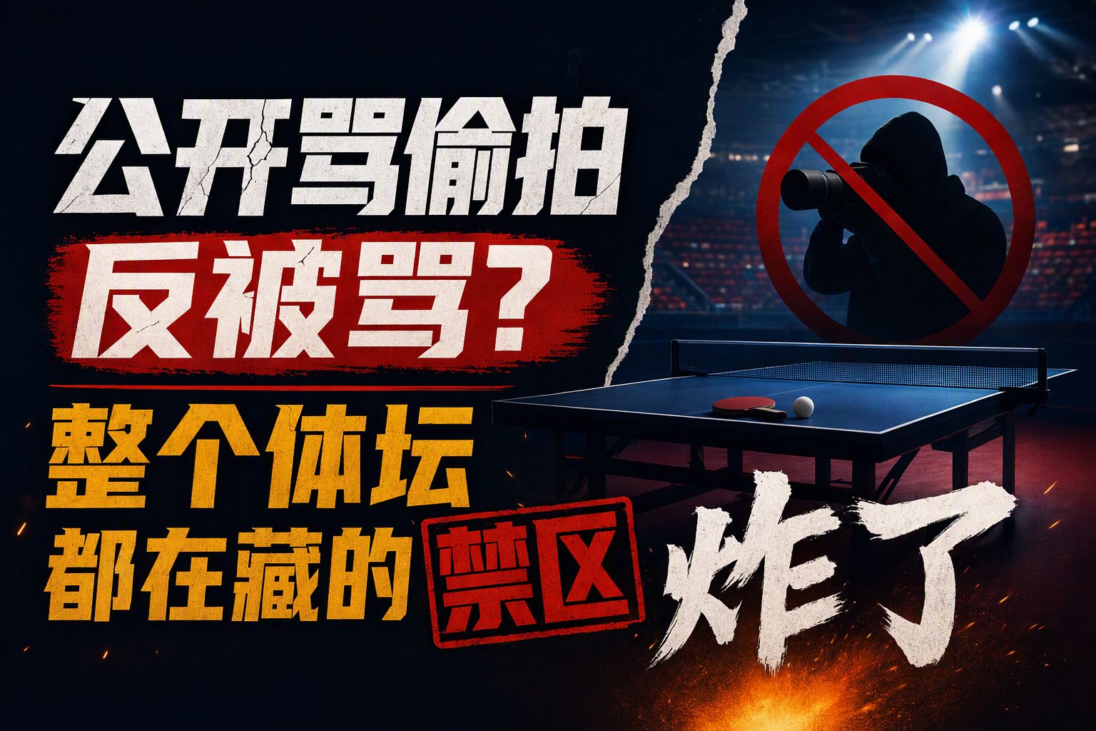 樊振东公开骂偷拍反被骂？整个体坛都在藏的禁区炸了