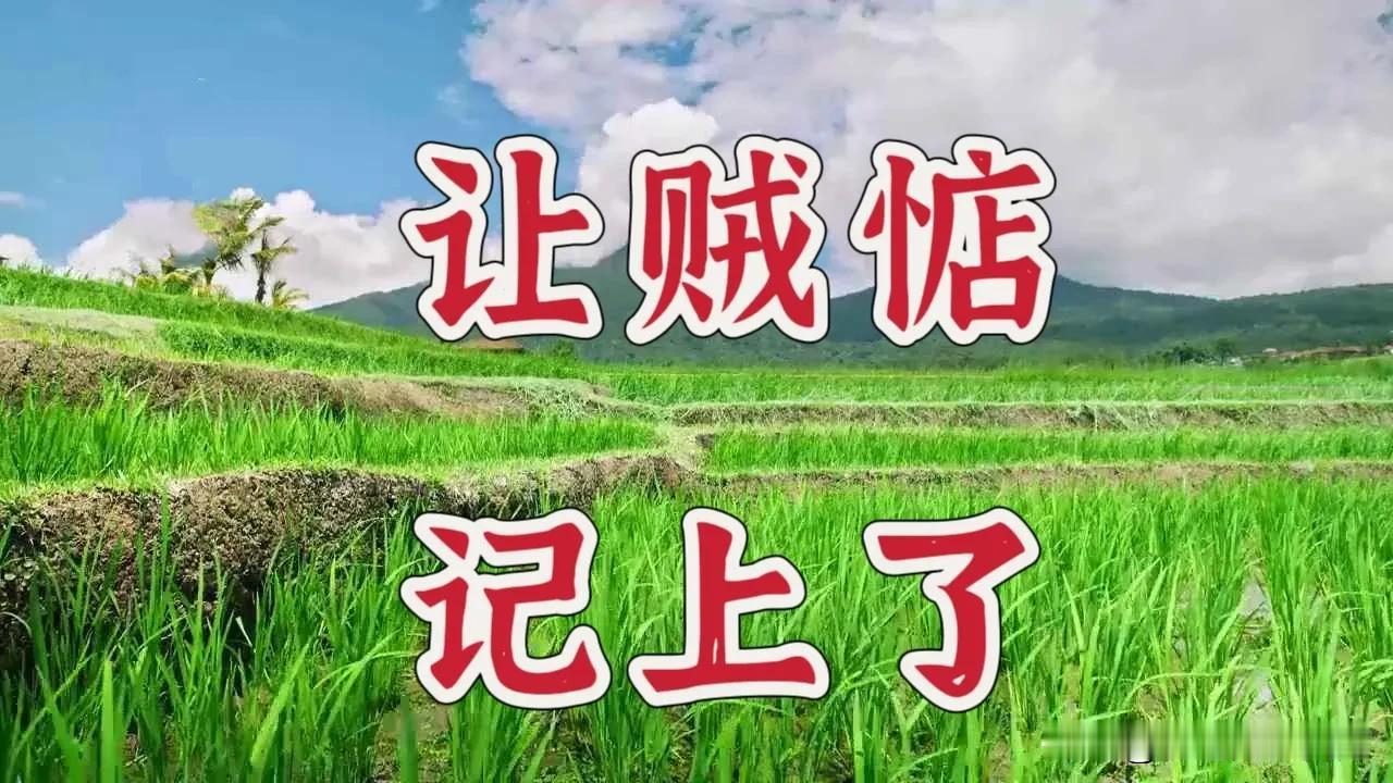 对面冂土口家的狗最近缠上了我，只因为，我指着它说了句：你这只恶狗。它还听得懂人话