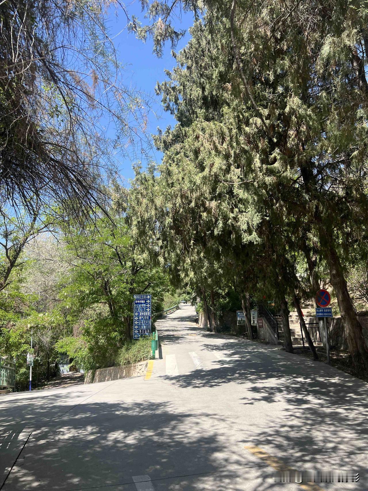 年轻时省吃俭用，不知疲倦地拼命赚钱，到老了才懂，原来拥有健康比什么都强
年轻时过
