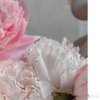 每日一善[超话]❤️每日一善 ❤️阳光信用 ​信念是心灵的灯塔，它指引我们在黑暗
