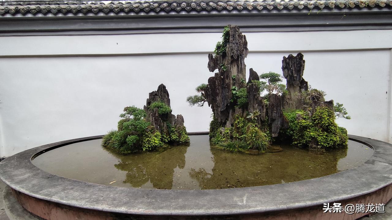 小小树石盆景有啥看头?盆景是中国优秀传统艺术珍品之一，已有1200年以上的历史。