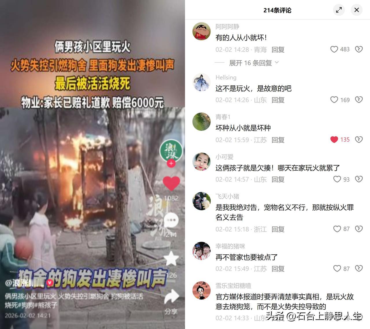 男孩玩火引燃狗舍，狗狗惨死

小区里俩孩子玩火，没控制住烧了狗舍，里头的狗发