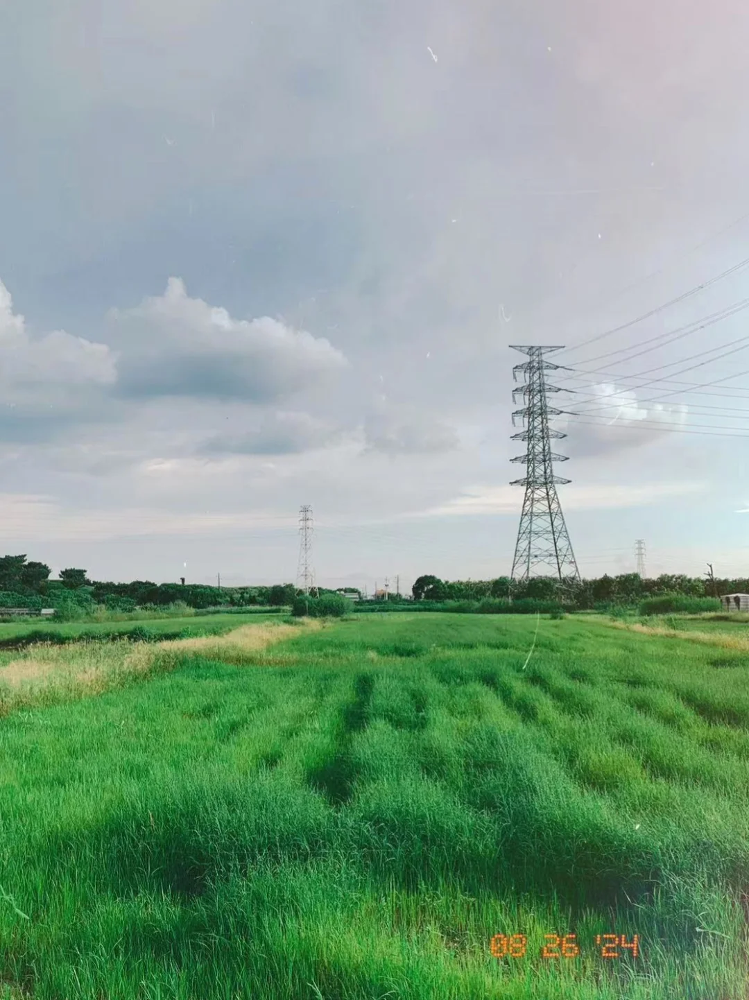 在台湾，像是回到记忆中的夏天。