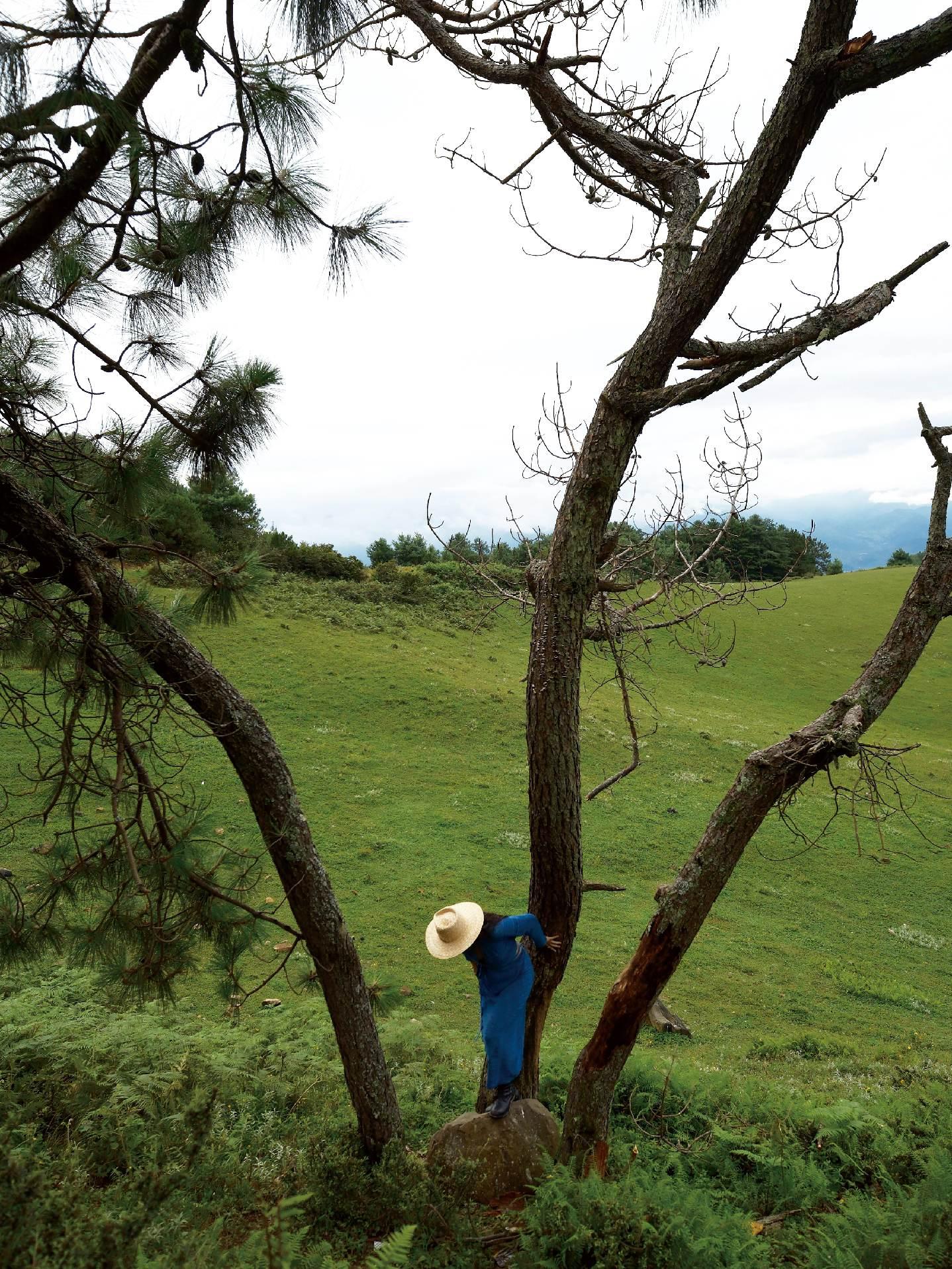 能救赎我的从来都不是人，而是风景。你也是吧？ 累了就去山顶看风景， 烦...