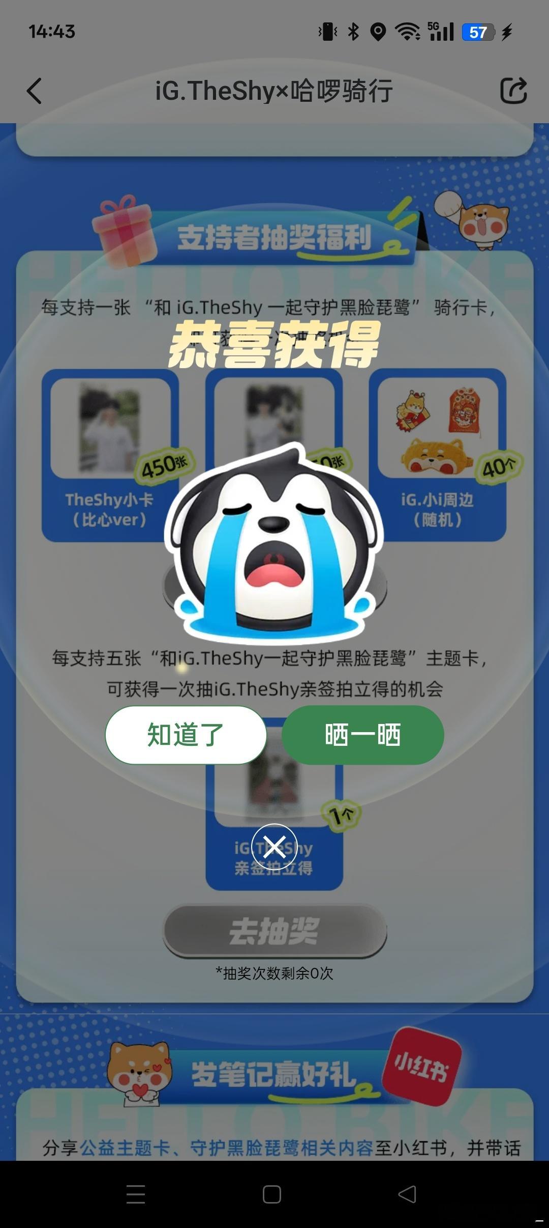 讨厌这个哈啰 