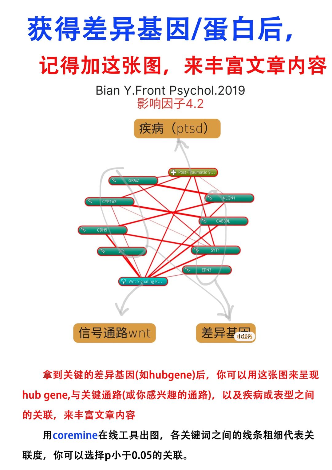 科研小白如何快速获🉐️新课题？我怎么才知道