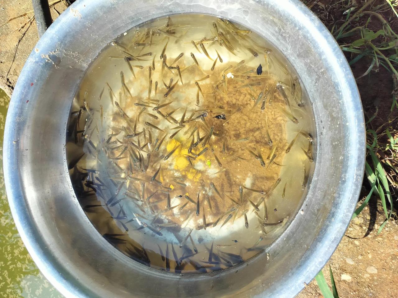 夏日生活打卡季中大乐透一等奖