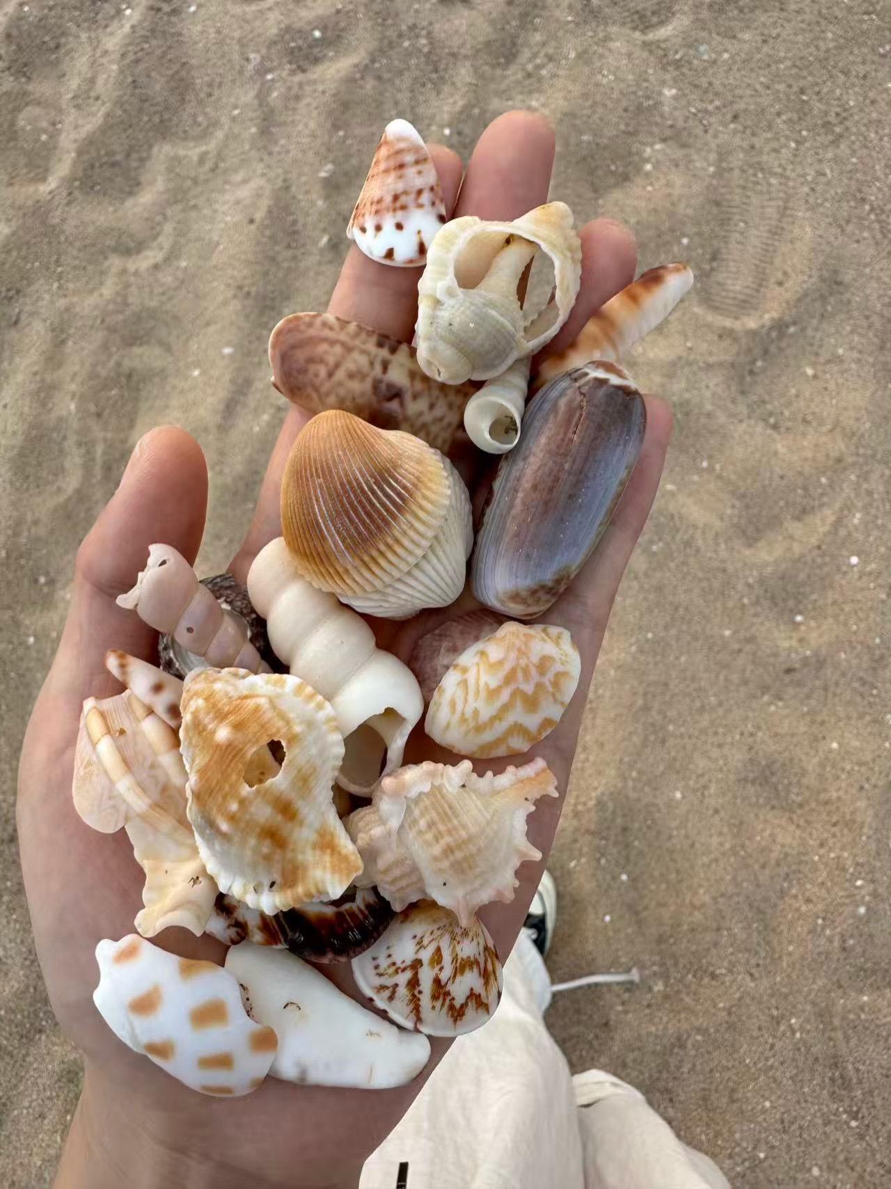 📍𝑺𝒂𝒏 𝒀𝒂 西岛🥥🌴 🌊₊˚.🏝️🐚 🫧ˎˊ𓈒