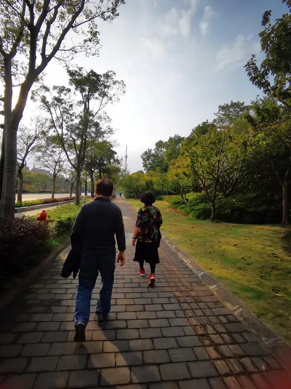 这几日，每天上午，辽宁卫视都在播电视剧《我的父亲母亲》。这部电视剧我虽说已看过一