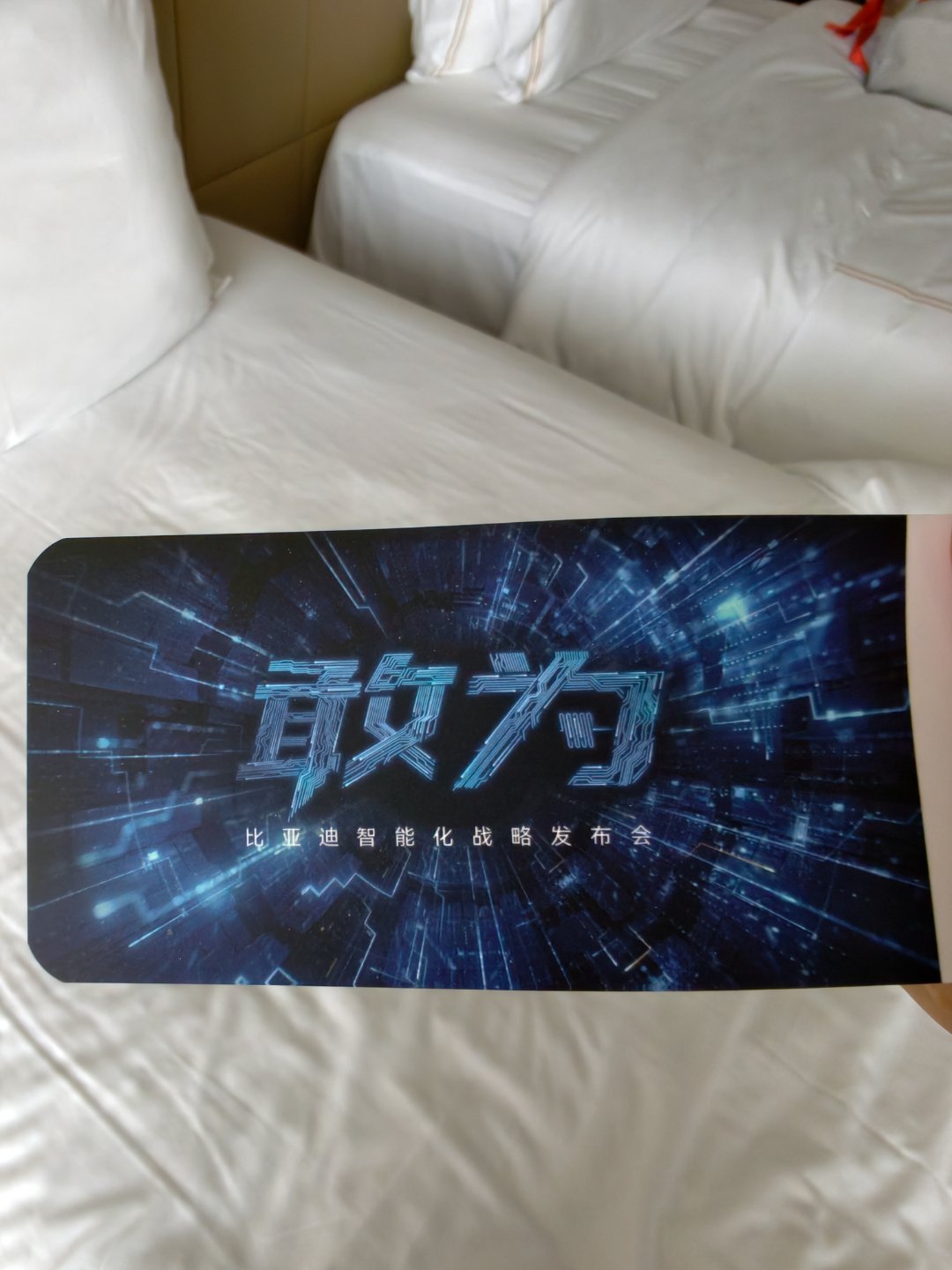 据说今天晚上迪子要发布辅助驾驶的兜底，甚至还有芯片？让我看看怎么个事 