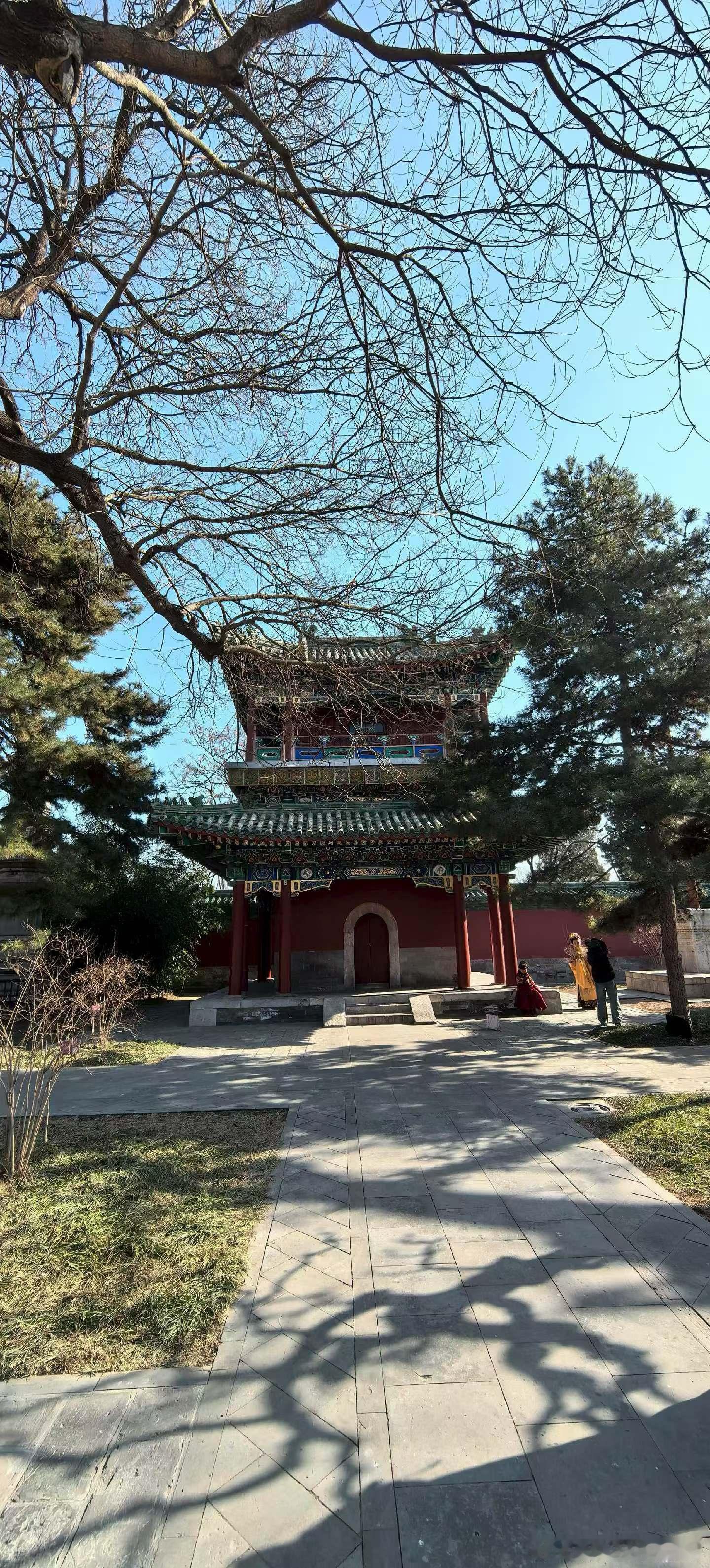 生活手记我曾以为，陪伴与温柔都是真心的证明，一路走到最后，我满心期待你说出那句笃