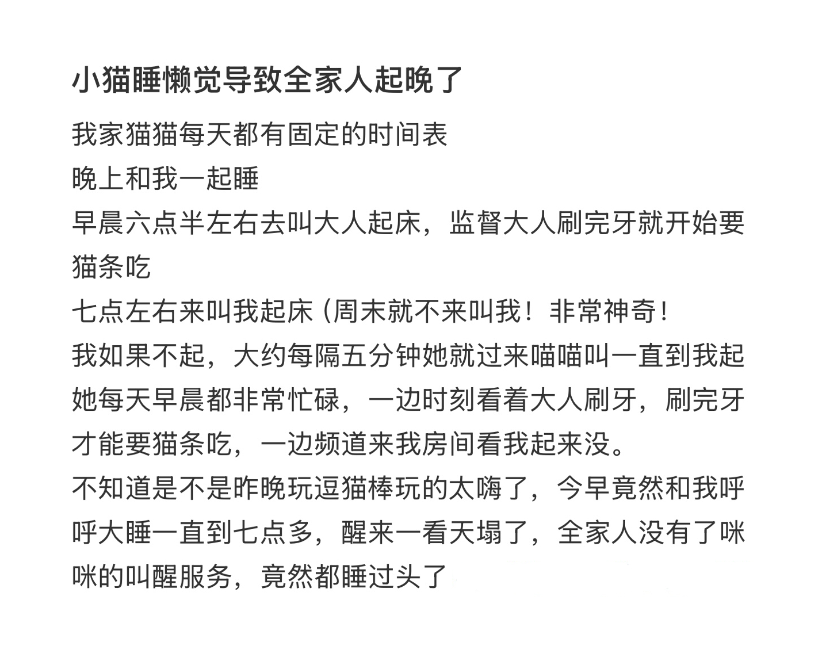 小猫睡懒觉导致全家人都起晚了[开学季] ​​​