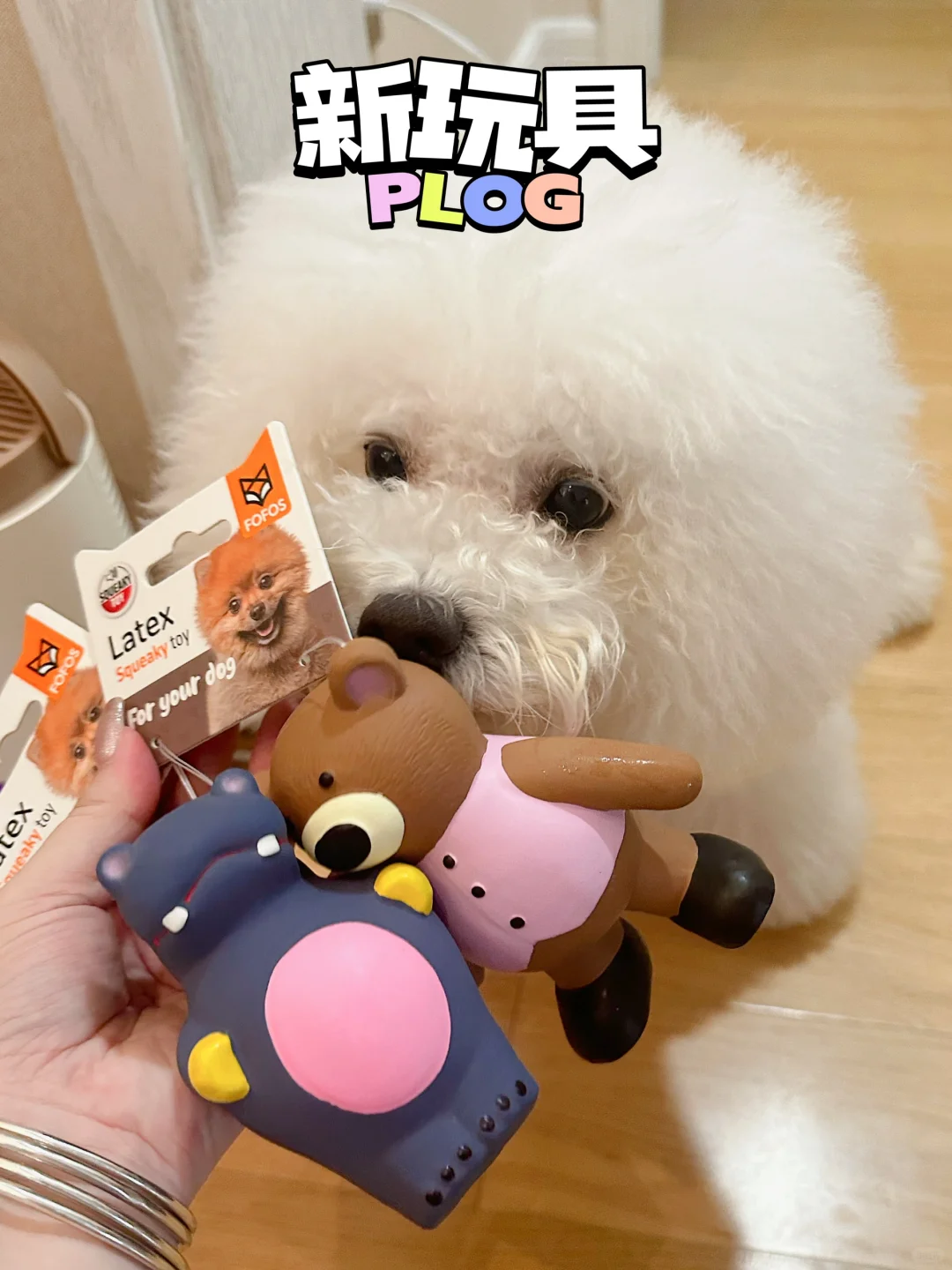 新玩具又➕1️⃣