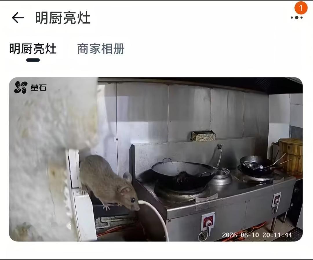 好一个明厨亮灶！正好录制下来了老鼠在镜头中！

此事在料理鼠王中早有记载，毕竟老
