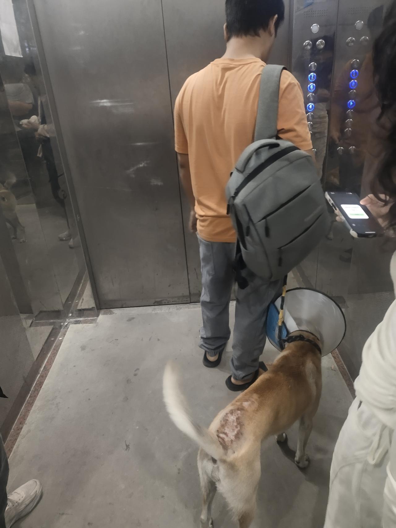 今天早上上班的时候在公司电梯里面遇到一个牵着狗狗的大哥，不我吓到了！
     