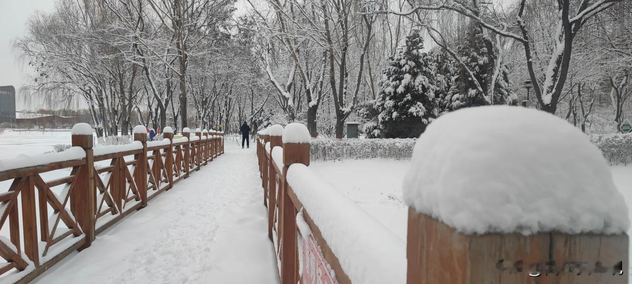晒一张手机中最美的雪景照