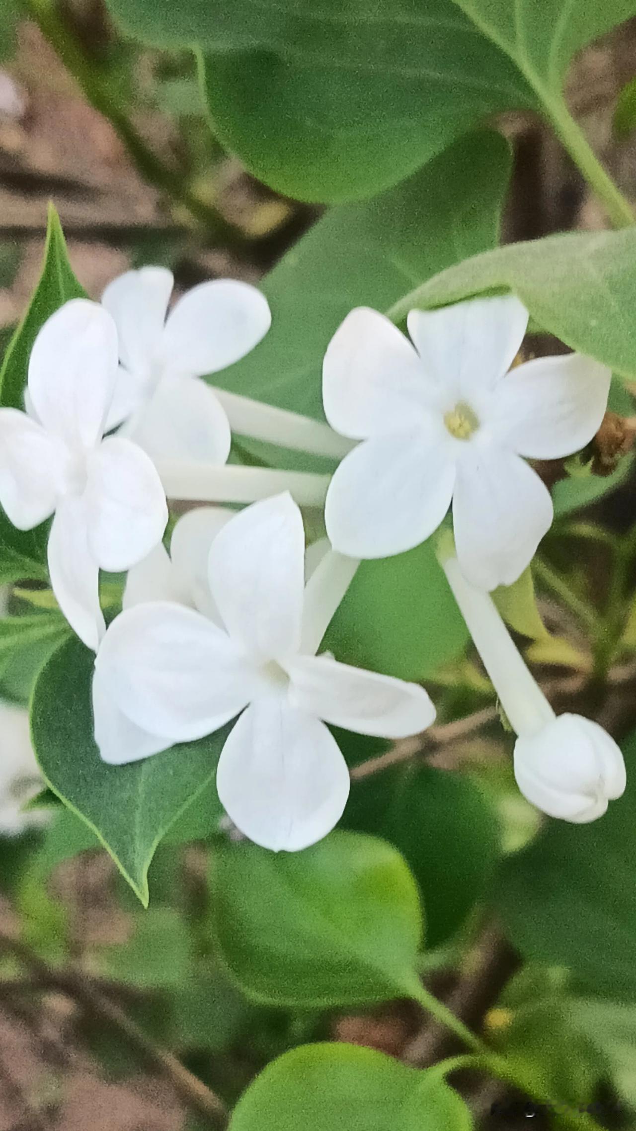 三言两语

清明节到了，不忘秦皇金戈铁马一统江山留千秋佳话，铭记伟人改天换地人民