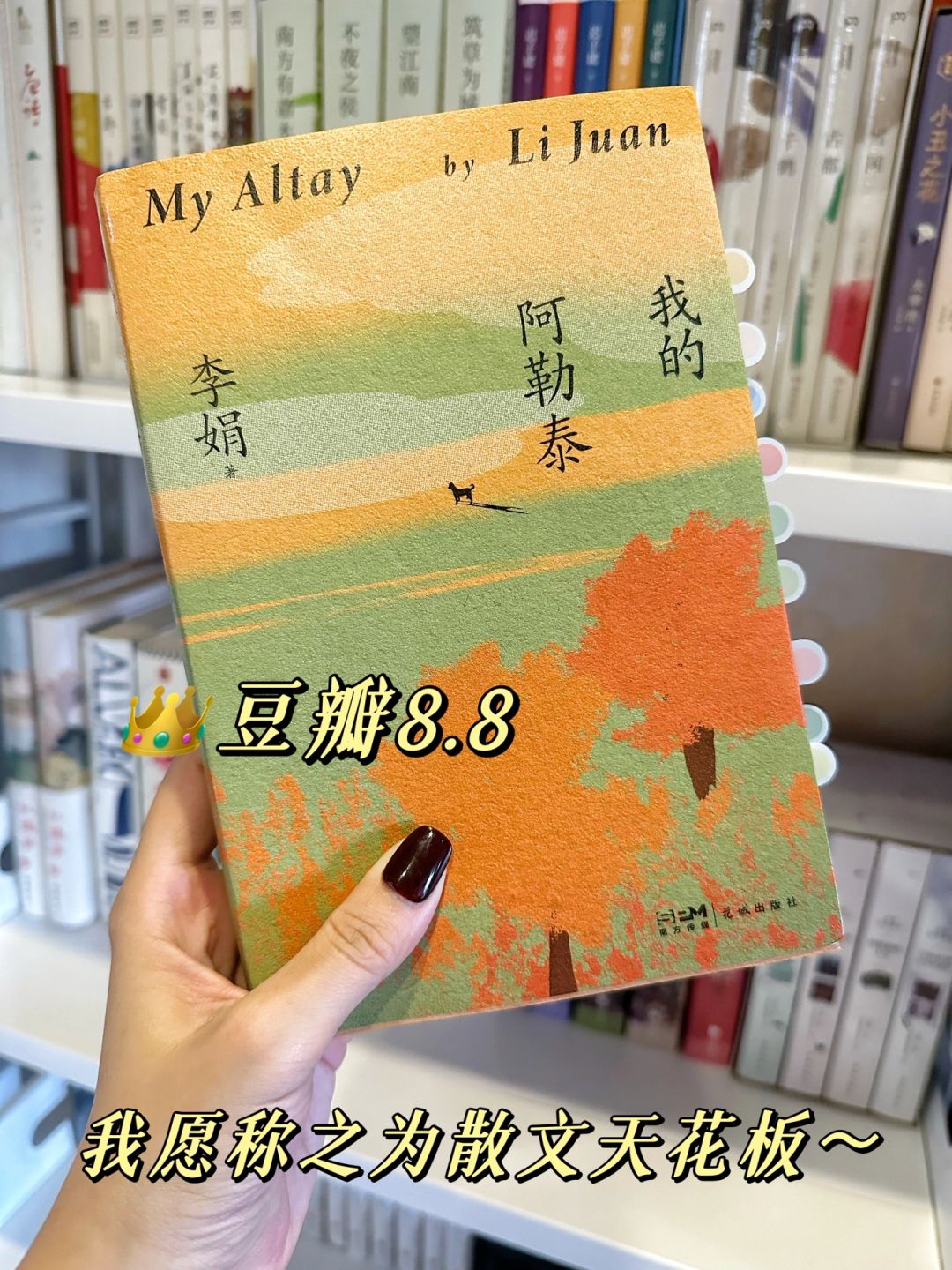 文笔绝了‼️你可以永远相信李娟~