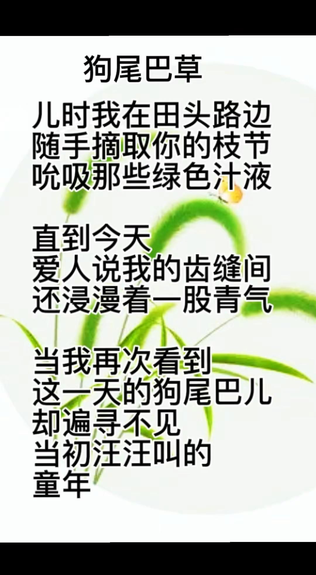 原创现代诗现代诗