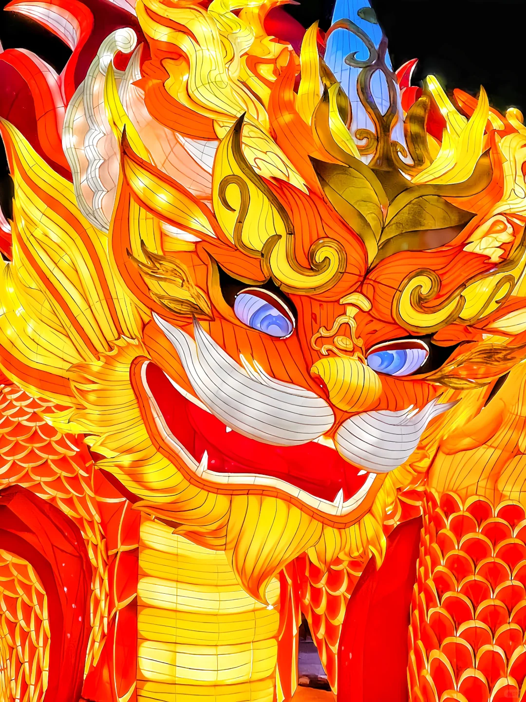 震惊❗️直到我去唐山灯会才知道什么叫天花板