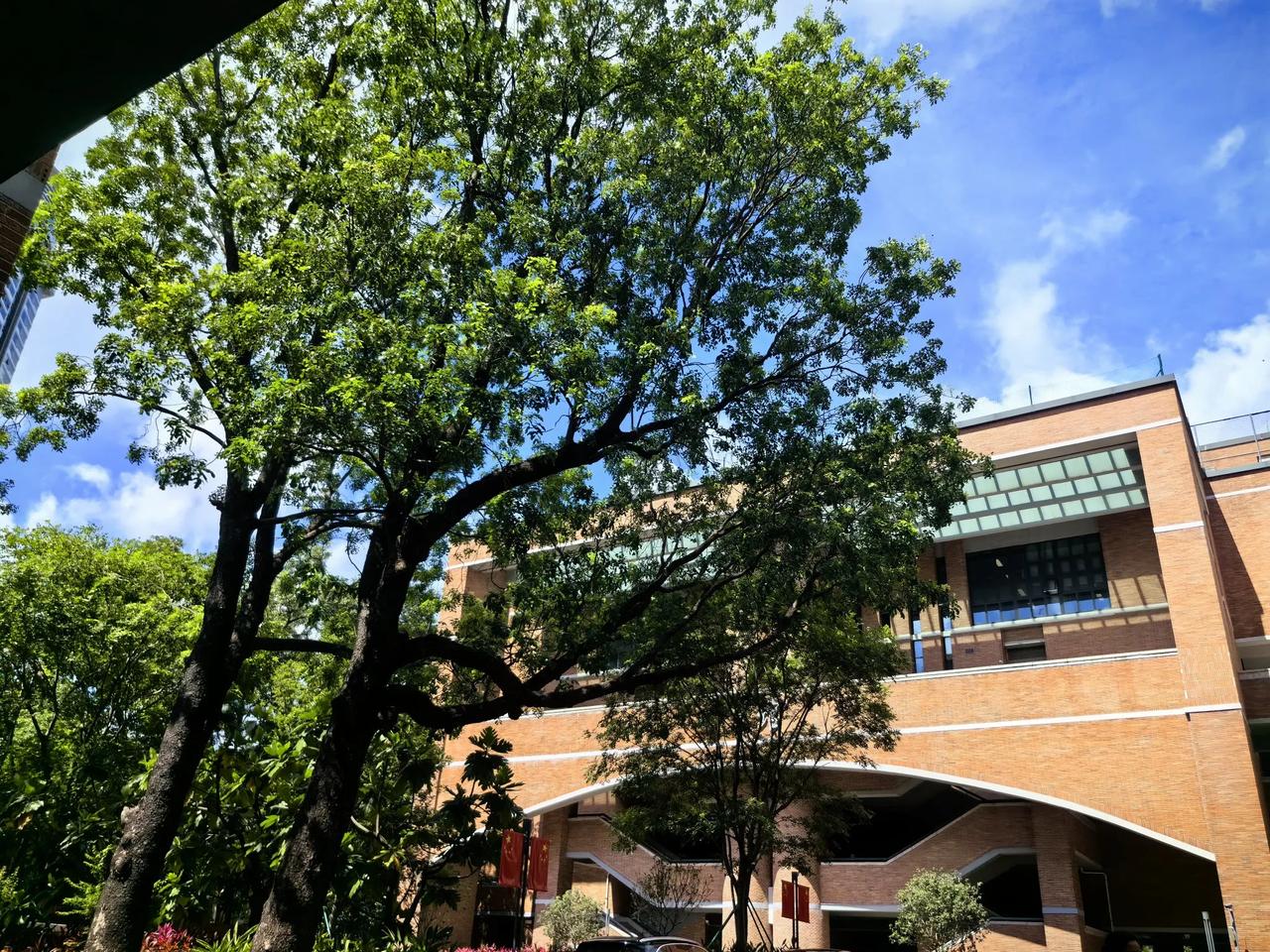 太离谱，广东五月天，差点被地面烫熟！
近日广东普宁一中学做课间操，部分学生被地面