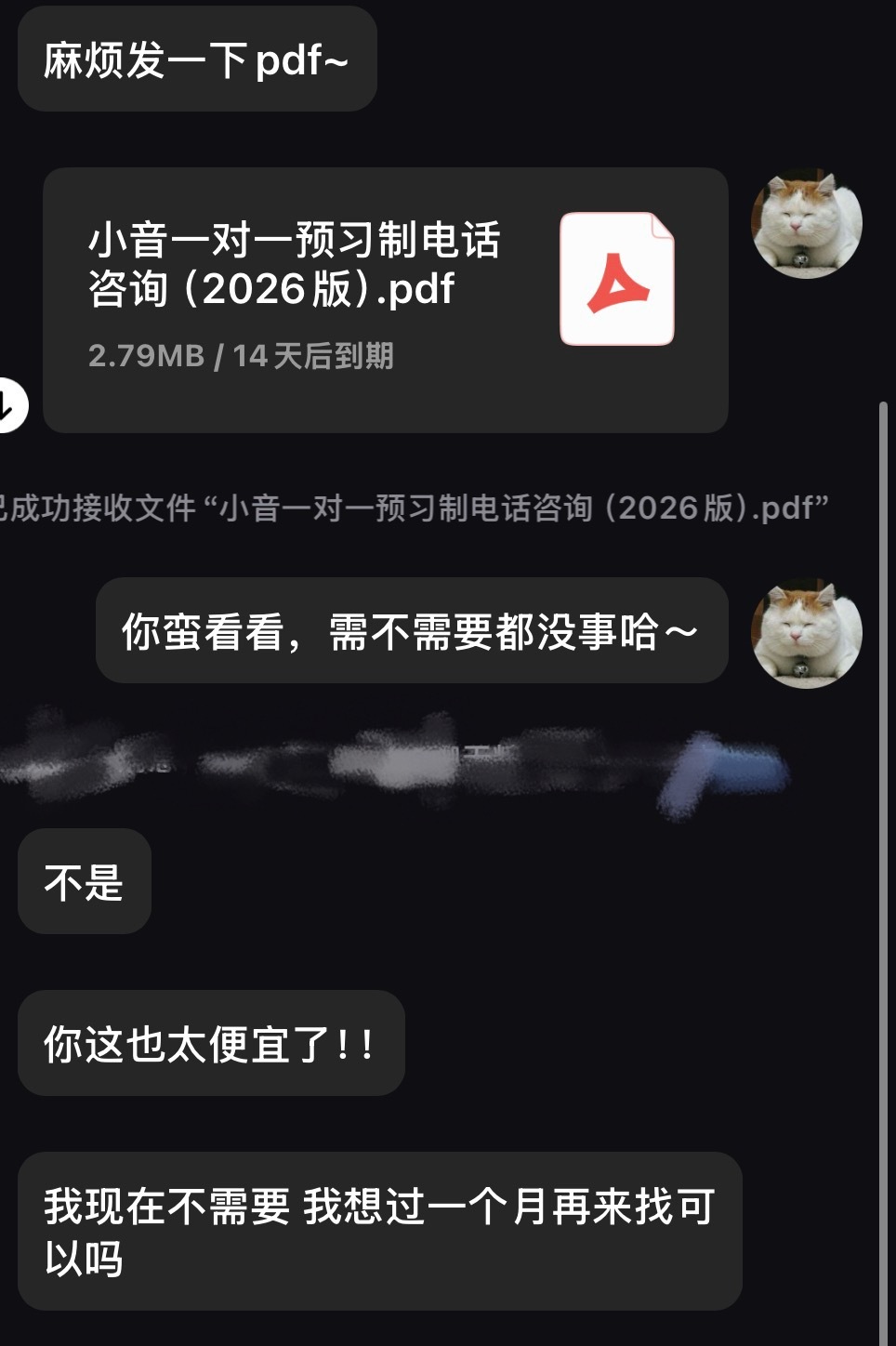 精心制作的语音咨询服务介绍文档pdf（周六做文字，周日7点干到晚上24点改内容，