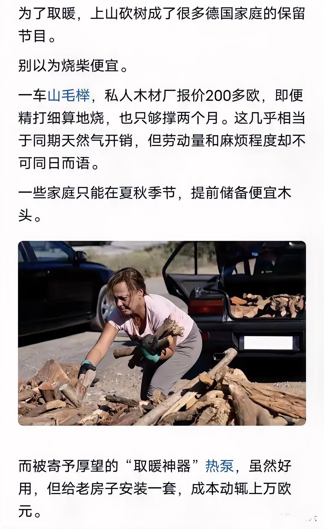 谁能想到，曾经高度发达、能源体系完善的德国，如今竟要靠砍树烧柴取暖，为了熬过寒冬