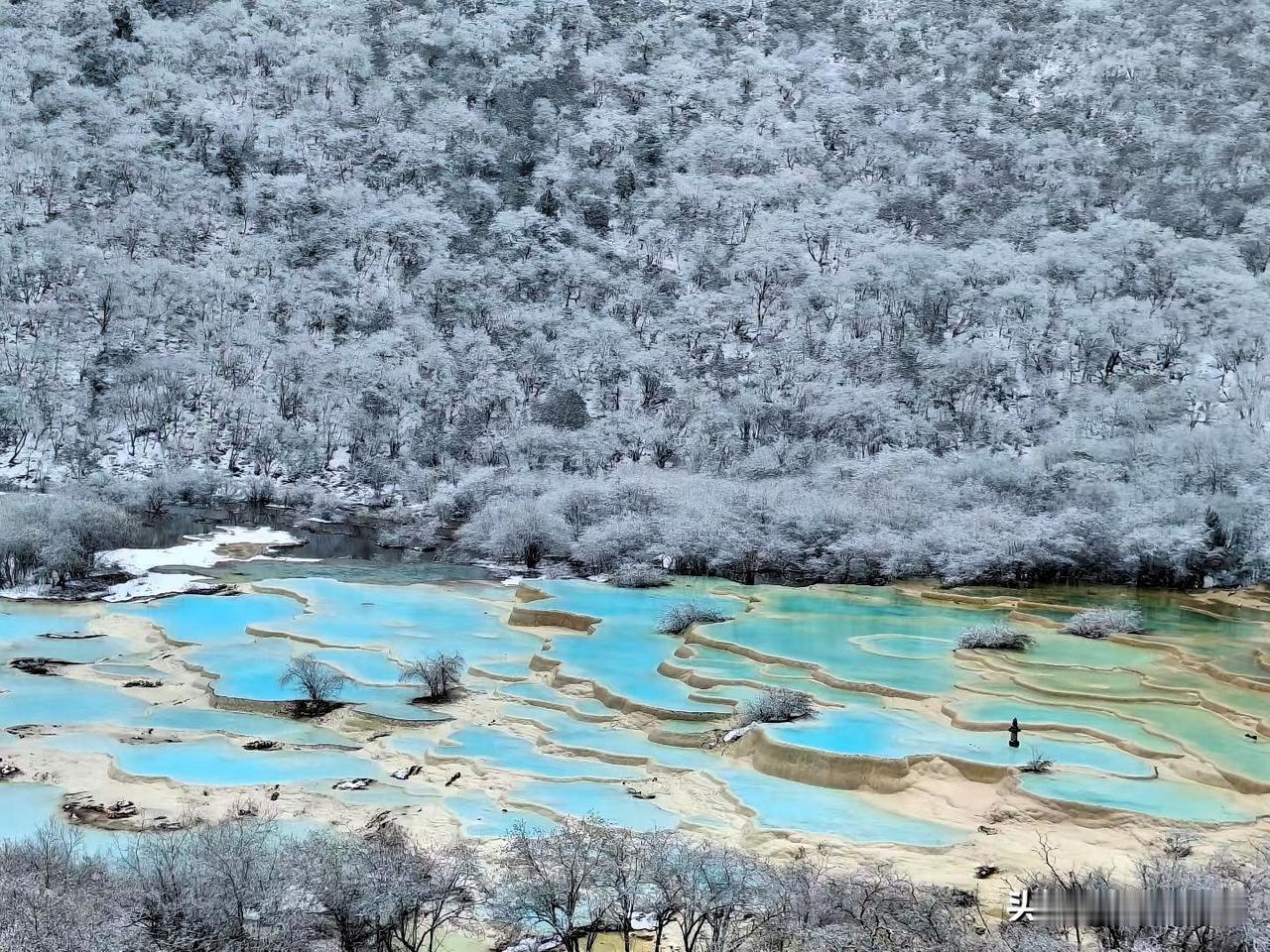 家人们❗

快看这五彩池的雪景！

银装素裹的大山底下，

这一汪汪蓝得跟宝石似