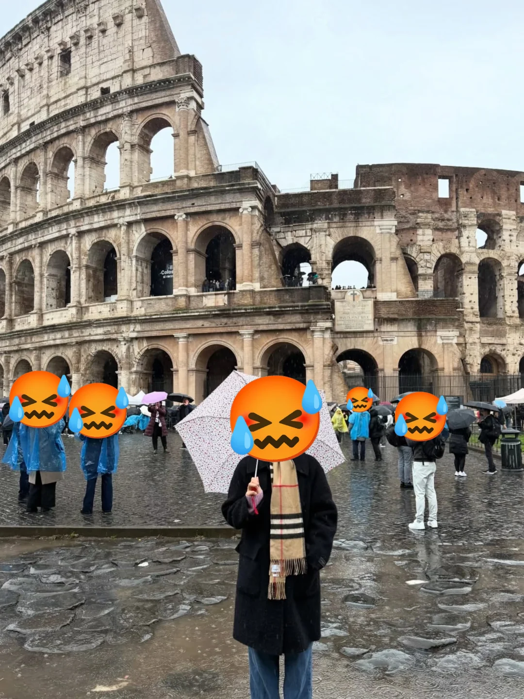 法意瑞已回😅好像不是说的那样…