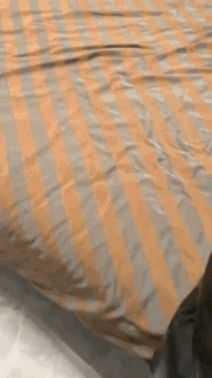 给你机会你也不会用，浪费！输什么别输努力 无用的都丢了吧 无浪费行为 偷点时间给