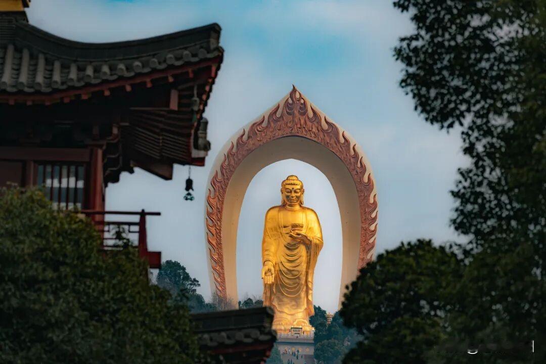 保持对苦难的高度敏感，激发出离心
众生在娑婆世界忍受久了， 对苦难比较麻木。 对