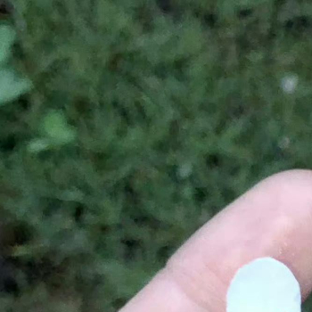 每日一善[超话] 🥥 每日一善 🥥 阳光信用 善虽小，每日积累， 多年后，积