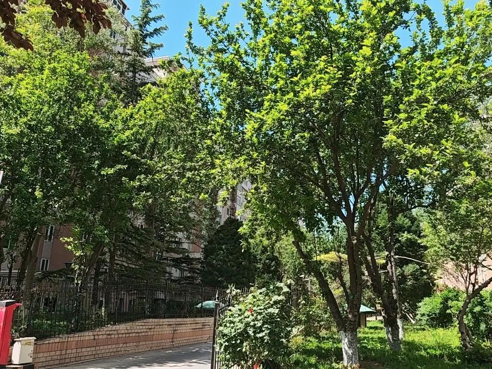 今早我和领导一起去了社区医院。
他查血，做B超，我只做B超。
顺便量了一个血压，