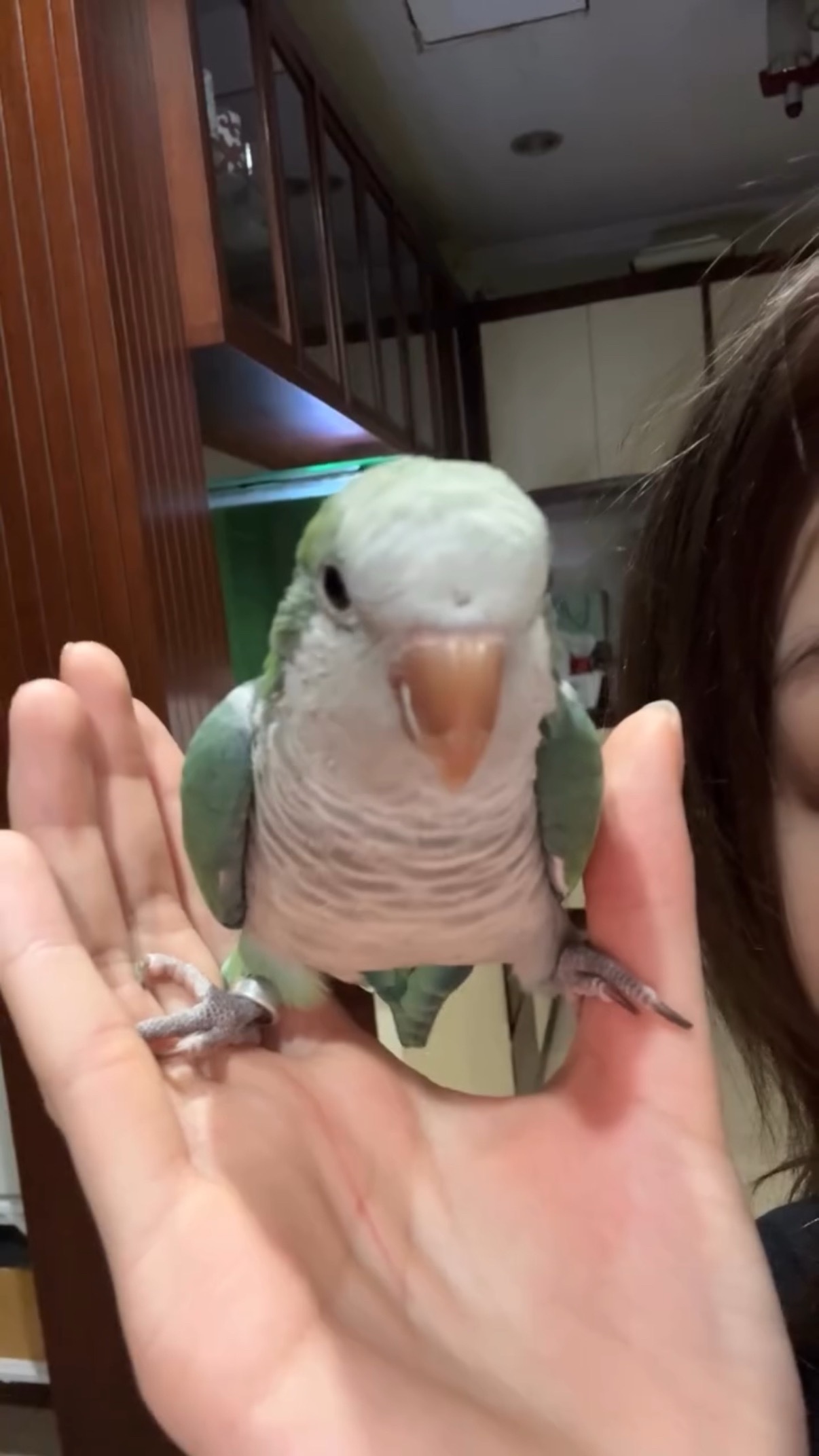 小肥鸡是不是抓伤妈妈了 ​​​