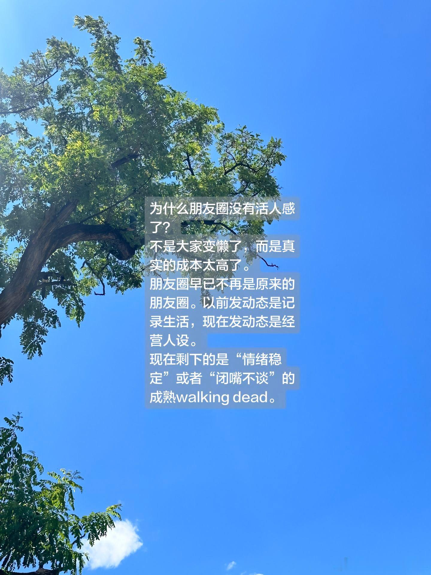 朋友圈的大家好像都失去了灵气不是大家变懒了，而是真实的成本太高了。朋友圈早已不再